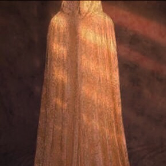 Velvet gown/cape - Picture 2 of 3